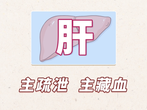 中医是怎么认识肝的？肝不好会有什么表现？